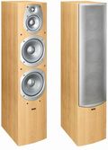 Infinity BETA 50 beech (2)